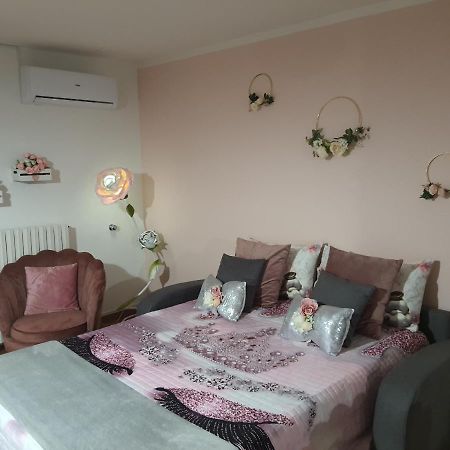 Shabby Chic Rooms Con Cucina E Giardino Privato Pomarico 外观 照片